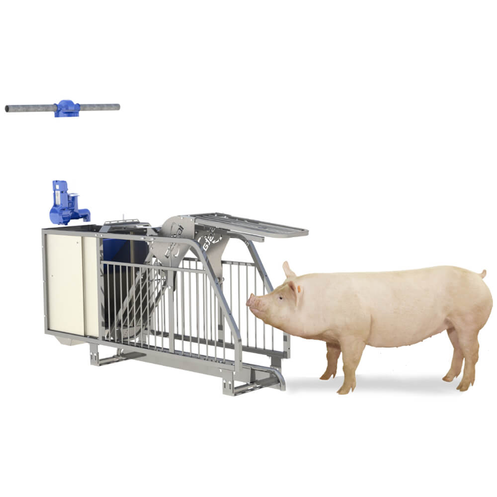 Gestal 3G2 豬隻自動群養給飼系統_波克生醫