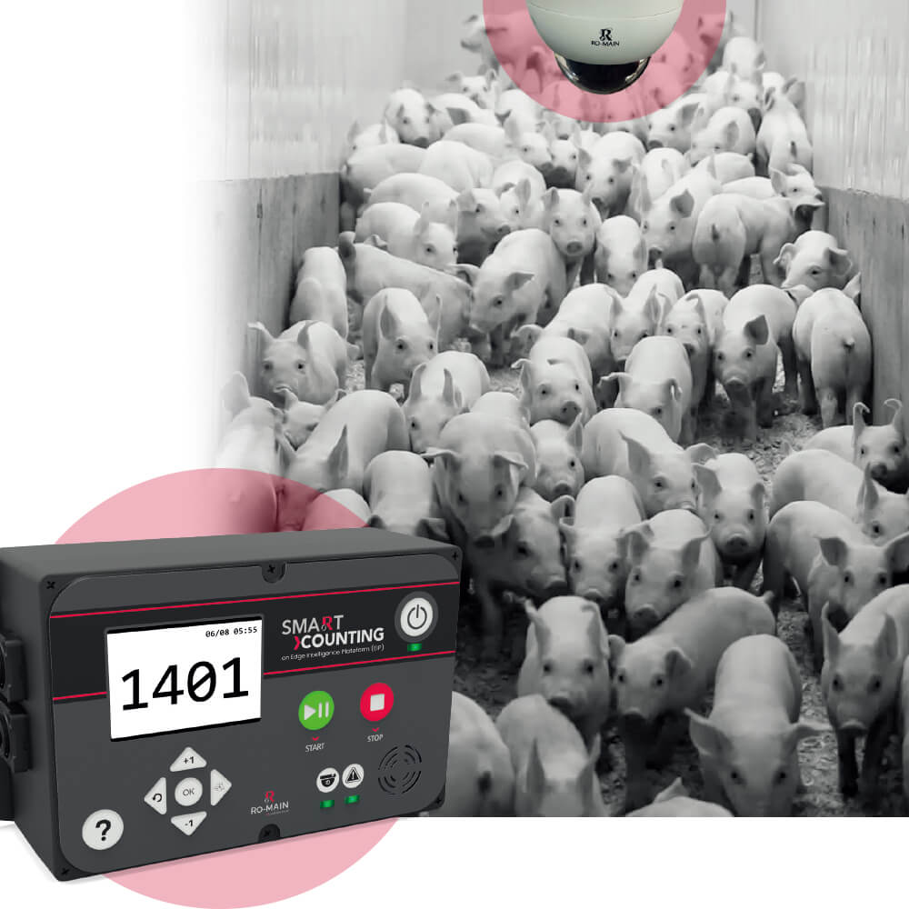 SmaRt Counting 豬隻移動計算電眼系統_波克生醫