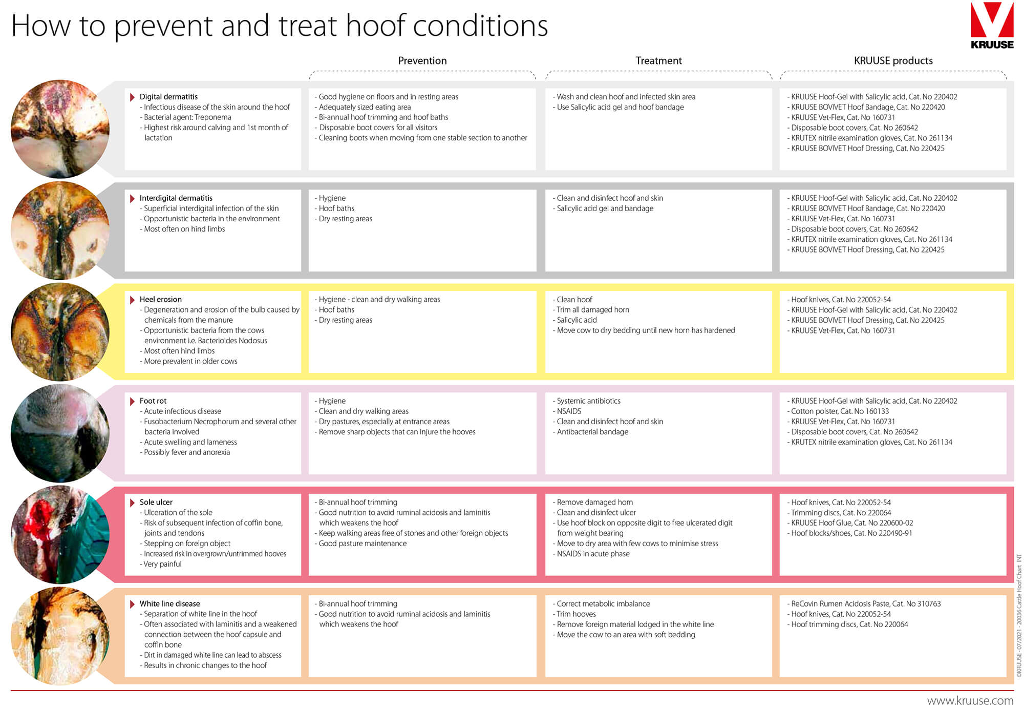 How to prevent and treat hoof conditions