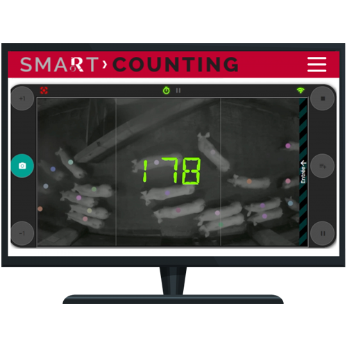 Ro-main 豬隻移動計算電眼 Smart counting