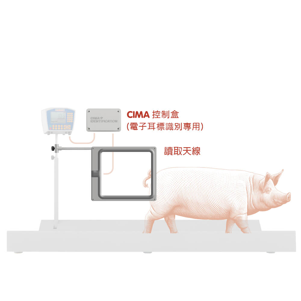 CIMA 電子耳標感應自動讀取系統